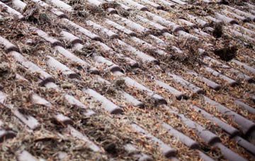 Westerham roof cleaning companies